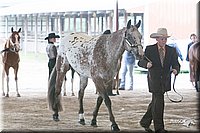 4H-1st-09_0482.jpg