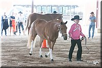 4H-1st-09_0499.jpg