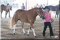 4H-1st-09_0501.jpg
