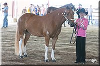 4H-1st-09_0503.jpg