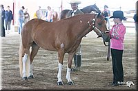 4H-1st-09_0504.jpg