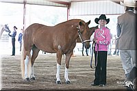 4H-1st-09_0506.jpg