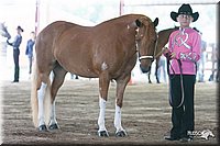 4H-1st-09_0507.jpg