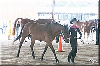 4H-1st-09_0509.jpg