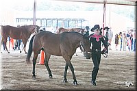 4H-1st-09_0510.jpg