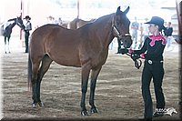 4H-1st-09_0512.jpg