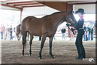 4H-1st-09_0513.jpg