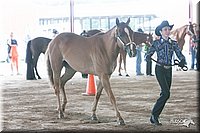 4H-1st-09_0515.jpg