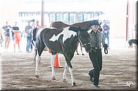 4H-1st-09_0519.jpg