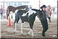 4H-1st-09_0520.jpg