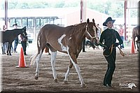 4H-1st-09_0526.jpg