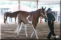 4H-1st-09_0527.jpg