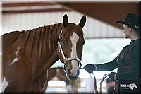 4H-1st-09_0529.jpg