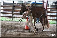 4H-1st-09_0531.jpg
