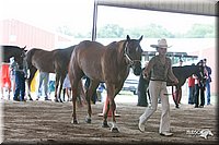 4H-1st-09_0532.jpg