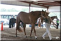 4H-1st-09_0534.jpg