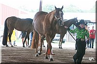 4H-1st-09_0538.jpg