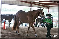4H-1st-09_0539.jpg