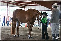 4H-1st-09_0541.jpg