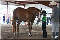 4H-1st-09_0542.jpg
