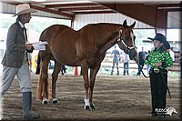 4H-1st-09_0548.jpg