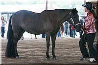 4H-1st-09_0556.jpg