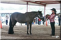 4H-1st-09_0557.jpg