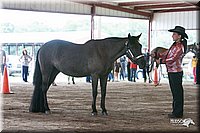 4H-1st-09_0558.jpg