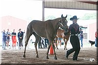 4H-1st-09_0560.jpg