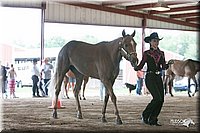 4H-1st-09_0561.jpg