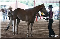 4H-1st-09_0564.jpg