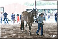 4H-1st-09_0567.jpg