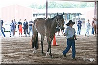 4H-1st-09_0568.jpg