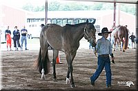 4H-1st-09_0569.jpg