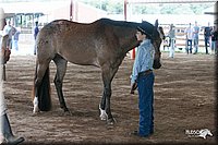 4H-1st-09_0570.jpg