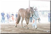 4H-1st-09_0573.jpg