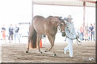 4H-1st-09_0574.jpg