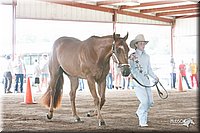 4H-1st-09_0575.jpg