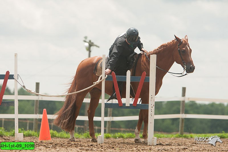 4H-1st-09_1098.jpg