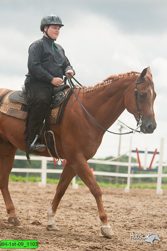 4H-1st-09_1103.jpg