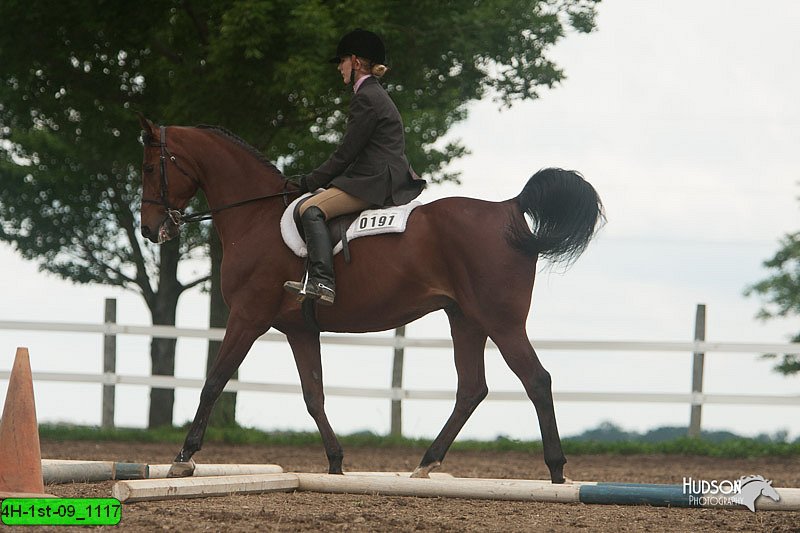 4H-1st-09_1117.jpg
