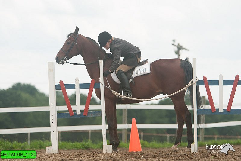 4H-1st-09_1120.jpg