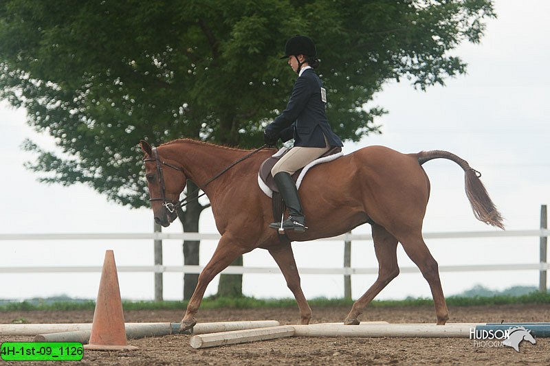 4H-1st-09_1126.jpg