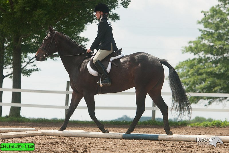 4H-1st-09_1146.jpg