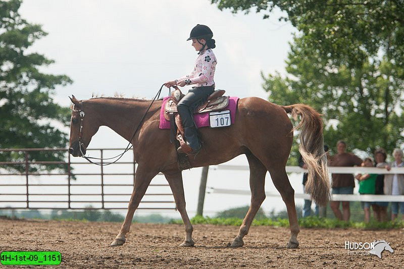 4H-1st-09_1151.jpg