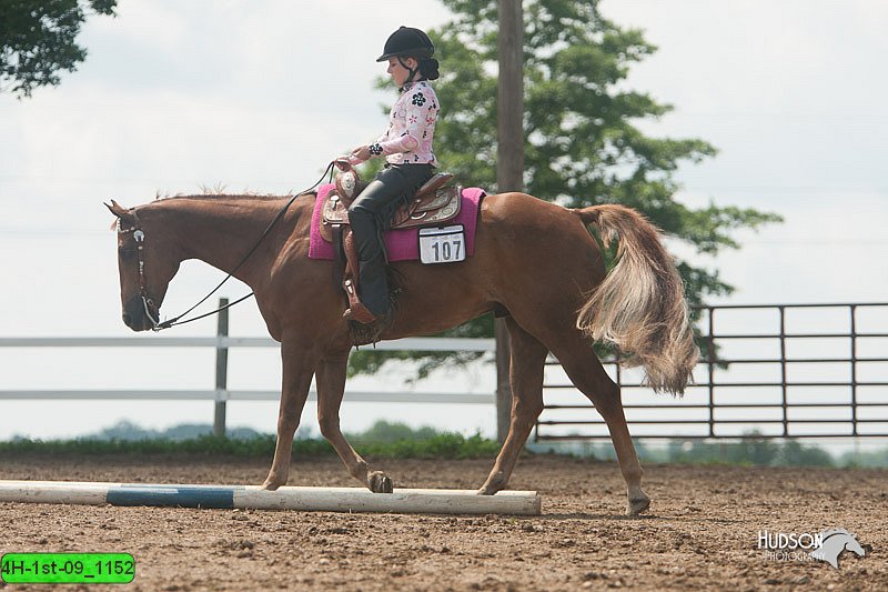 4H-1st-09_1152.jpg