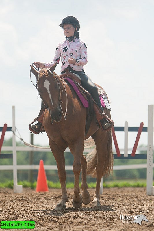 4H-1st-09_1155.jpg