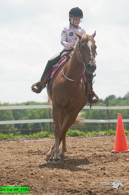 4H-1st-09_1156.jpg