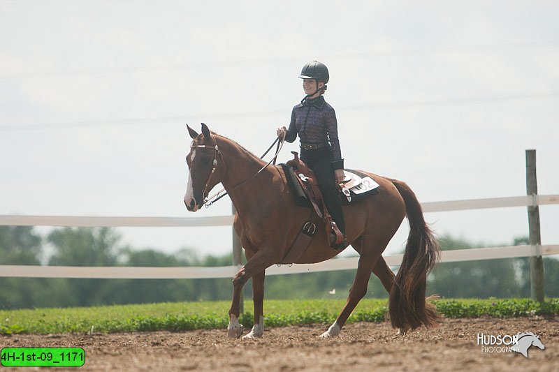 4H-1st-09_1171.jpg