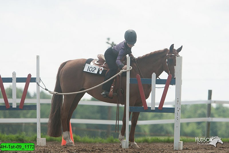 4H-1st-09_1172.jpg